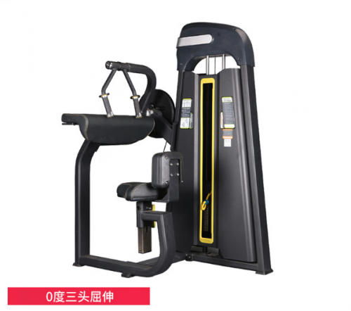 X-RIVALFITNESS 健身房商用力量器械 0度三头屈伸训练器