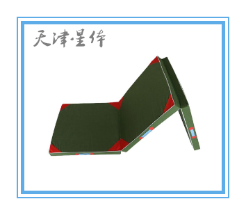 折叠体操垫三折训练保护垫仰卧起坐垫子舞蹈练功可折叠体育训练保护垫 三折体操垫200*120*10cm