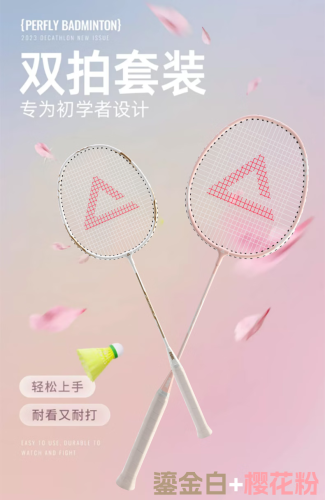 匹克羽毛球拍 双拍(入门级)