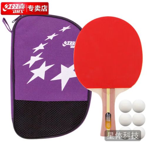 红双喜DHS 横拍 H2002双面反胶健身型乒乓拍附带拍套+乒乓球单块装