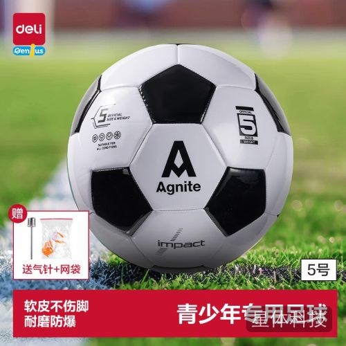 得力(deli)5号足球PVC机缝户外儿童玩具生日礼物FD204
