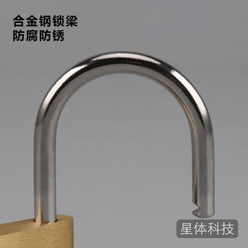 者也 薄型黄铜挂锁【40mm长梁不通开】户外防水防锈门锁电表锁 AAQ225