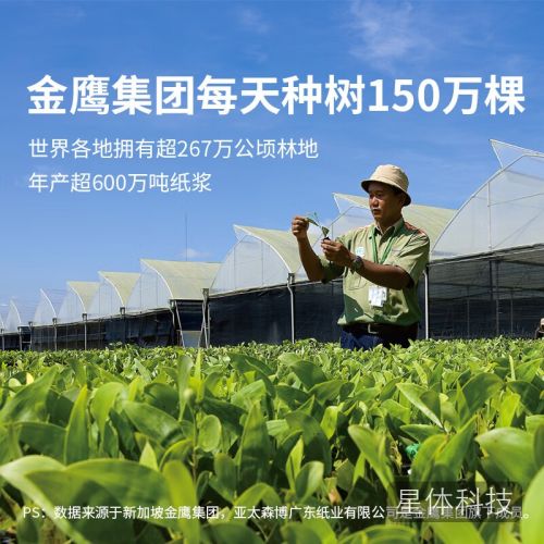 亚太森博派部落A4打印纸 70g单包装 500张复印纸 顺滑不卡纸双面打印 高性价比草稿纸