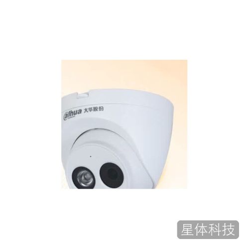 dahua大华摄像头200万高清POE网线供电红外夜视半球监控 手机远程拾音IPC-HDW1230C-A 2.8mm