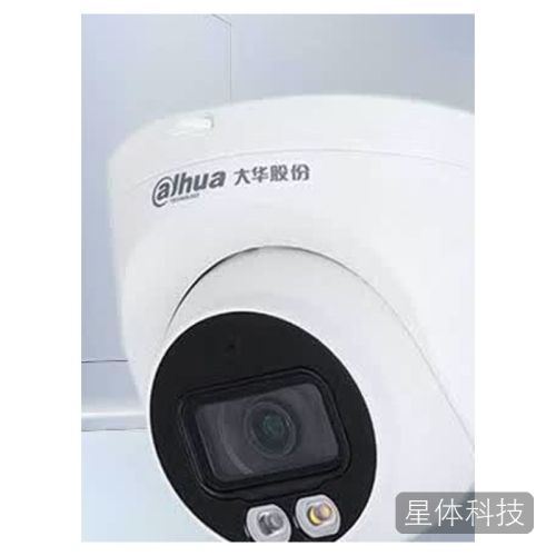 大华400万双光全彩夜视POE海螺型监控摄像机DH-P40T1-A-IL