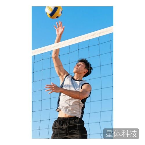 LIVEX排球网便携室内外标准比赛训练无结聚乙烯四包边钢丝4mm